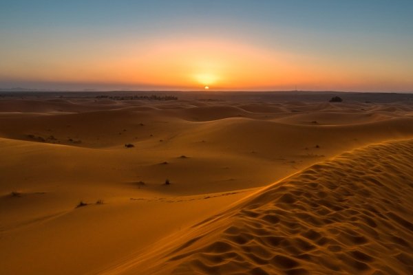 Golden Sand Dunes